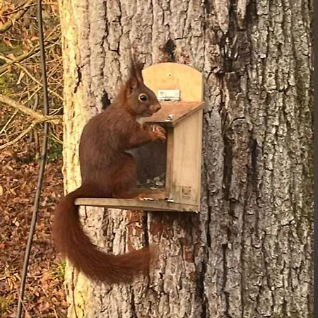 La Tiny House De Nanou Country house Rochefort