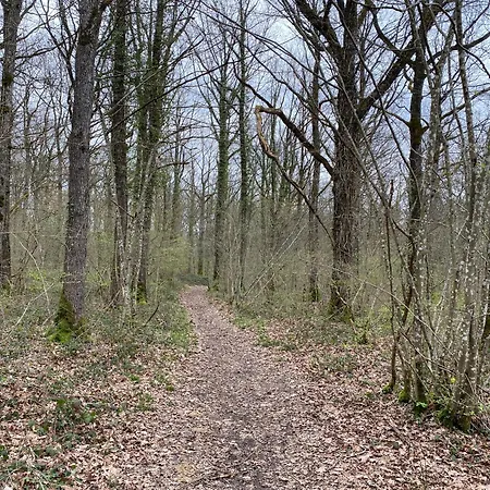 La Tiny House De Nanou * Rochefort