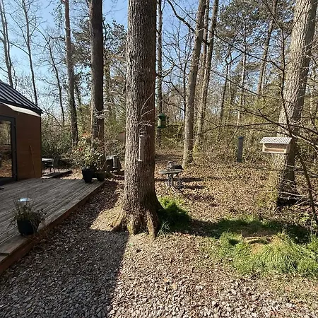 Séjour à la campagne La Tiny House De Nanou *