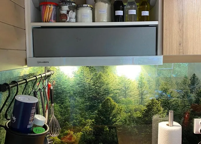 La Tiny House De Nanou カントリーハウス ロシュフォール