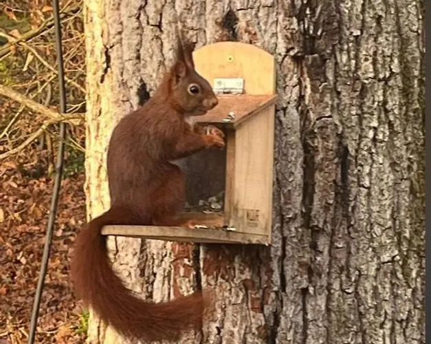 La Tiny House De Nanou Casa di campagna Rochefort