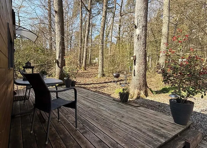 Casa di campagna La Tiny House De Nanou Rochefort