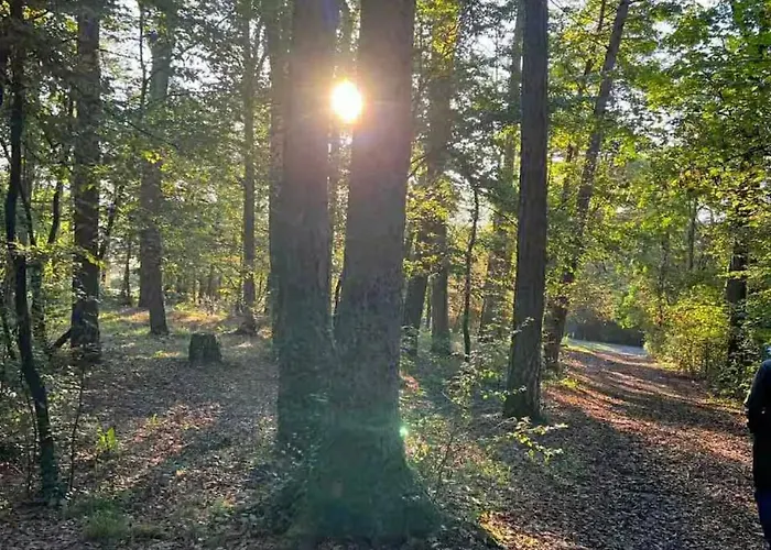 La Tiny House De Nanou Séjour à la campagne Rochefort
